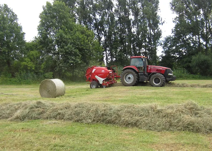 Die Spreewaldbetten - Bauernhof