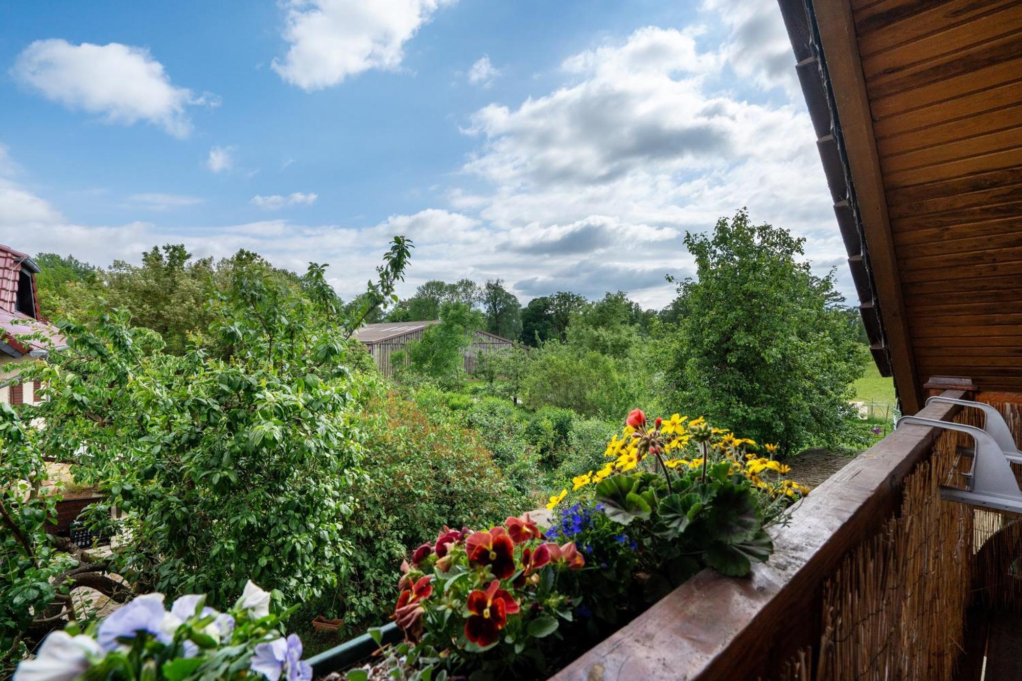 Spreewaldbetten - Bauernhof Farm stay *