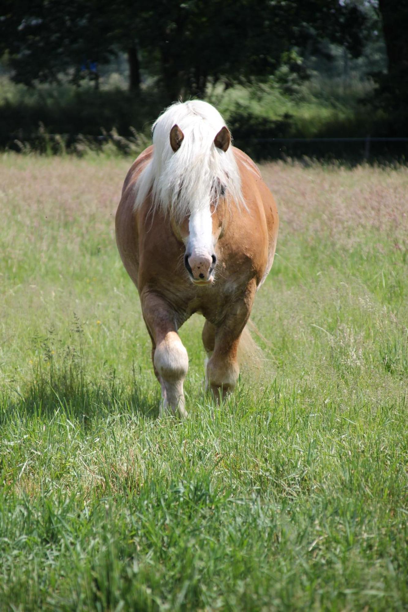 Spreewaldbetten - Bauernhof