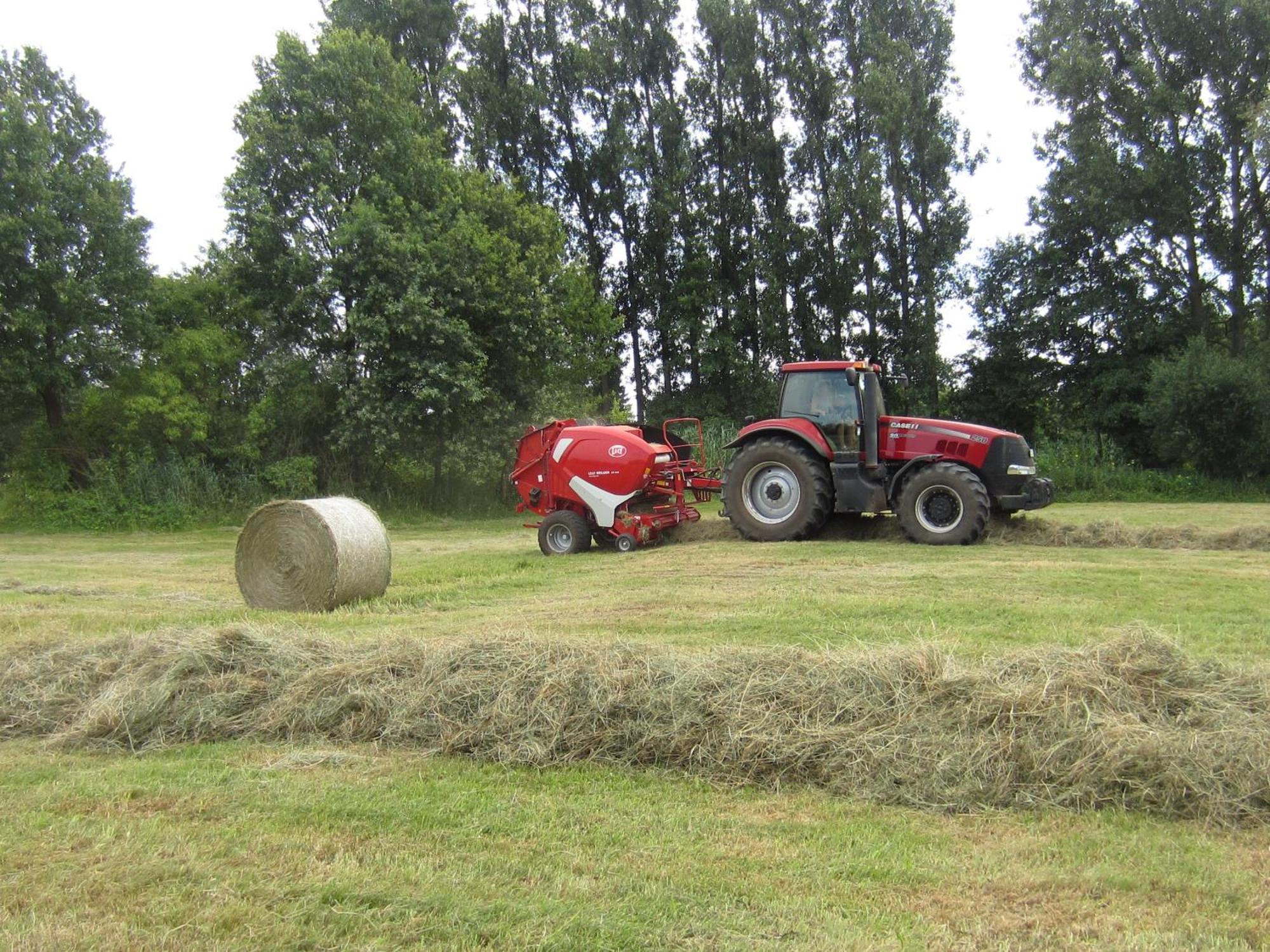 Spreewaldbetten - Bauernhof *